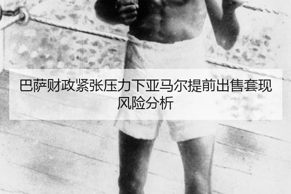 ba-sa-cai-zheng-jin-zhang-ya-li-xia-ya-ma-er-ti-qian-chu-shou-tao-xian-feng-xian-fen-xi-2-265.jpg