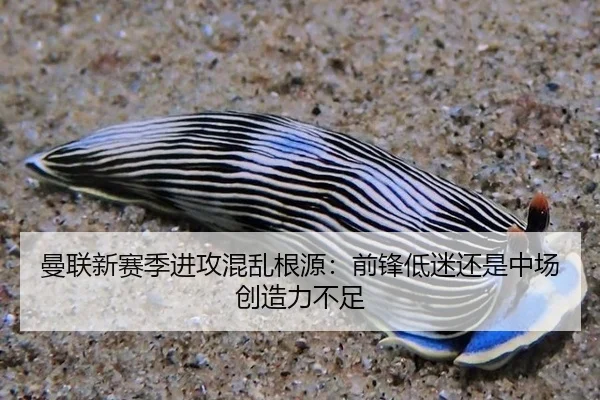曼联新赛季进攻混乱根源：前锋低迷还是中场创造力不足